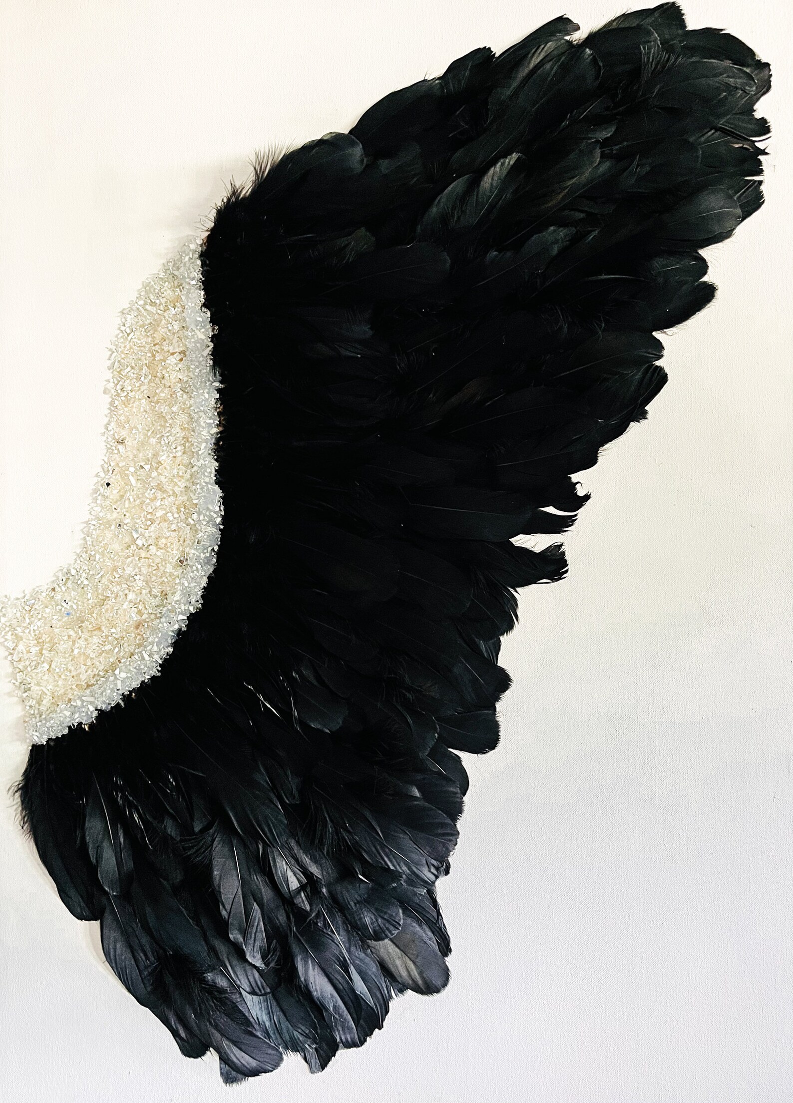 1 Piece Black and White Feather Angel Wings on Canvas Etsy