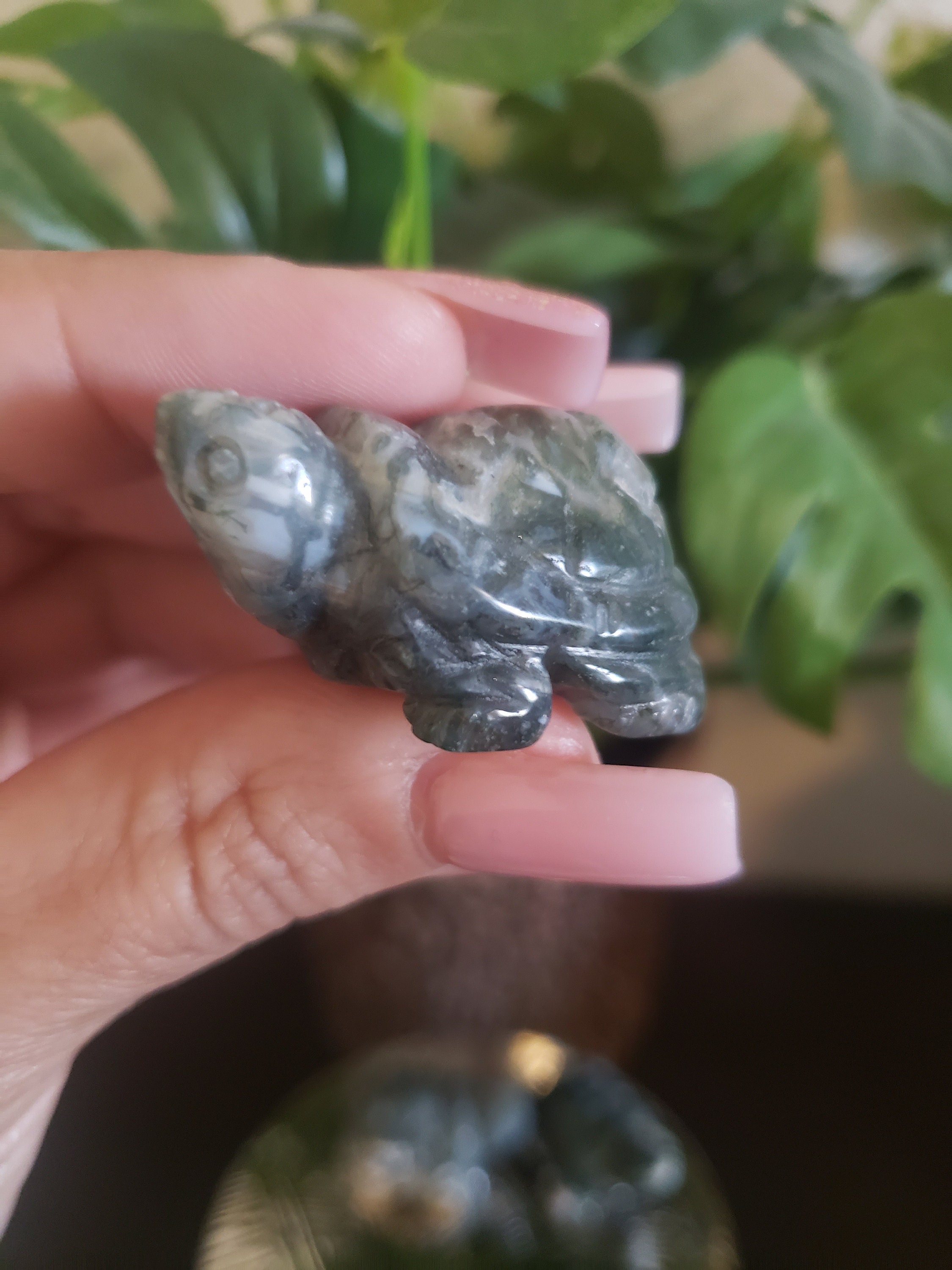 モスアゲートタートルズ - Etsy 日本