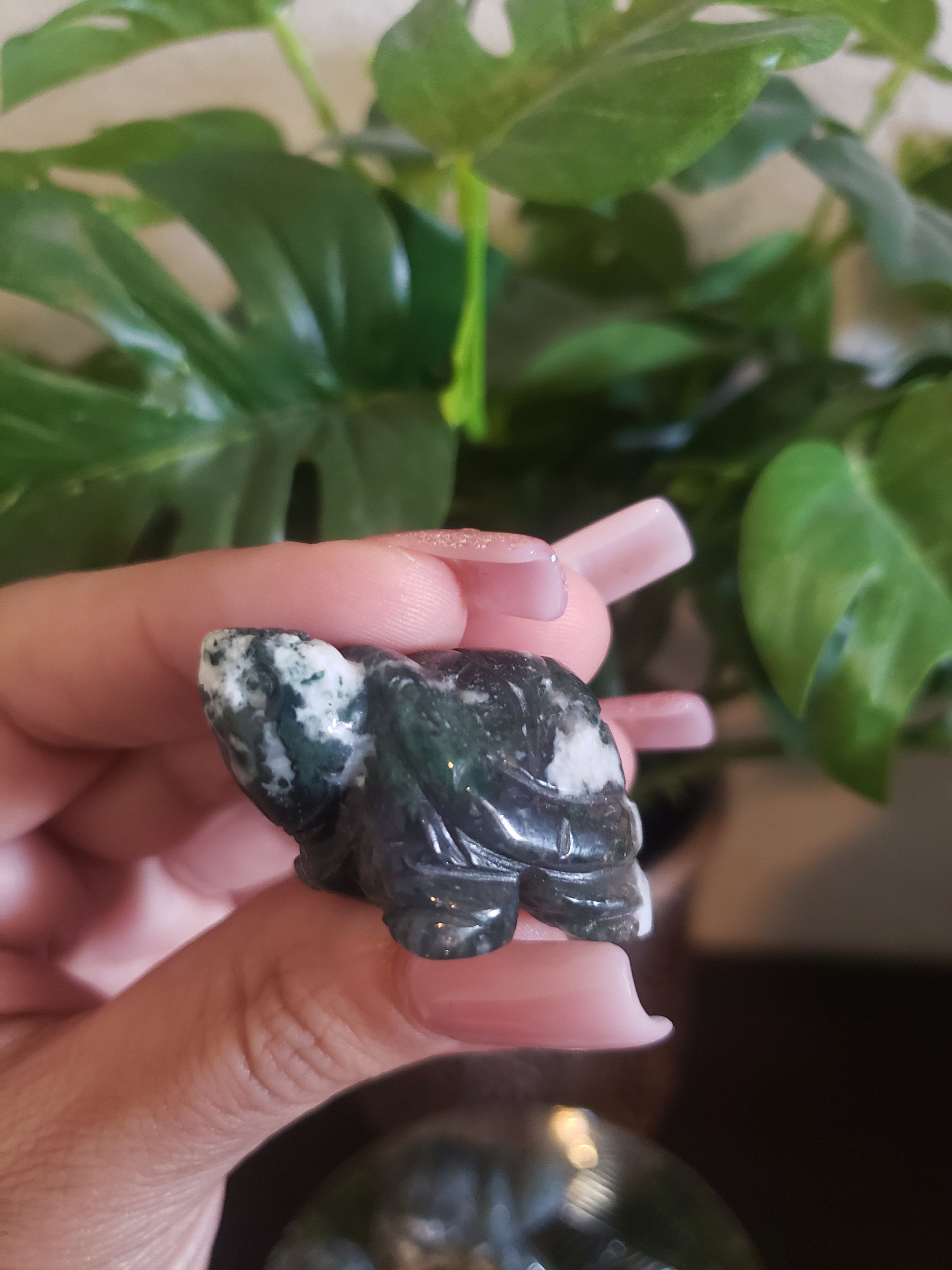 モスアゲートタートルズ - Etsy 日本