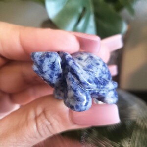 May include: A small blue and white turtle figurine carved from sodalite. The turtle is sitting on its belly with its head and legs visible.