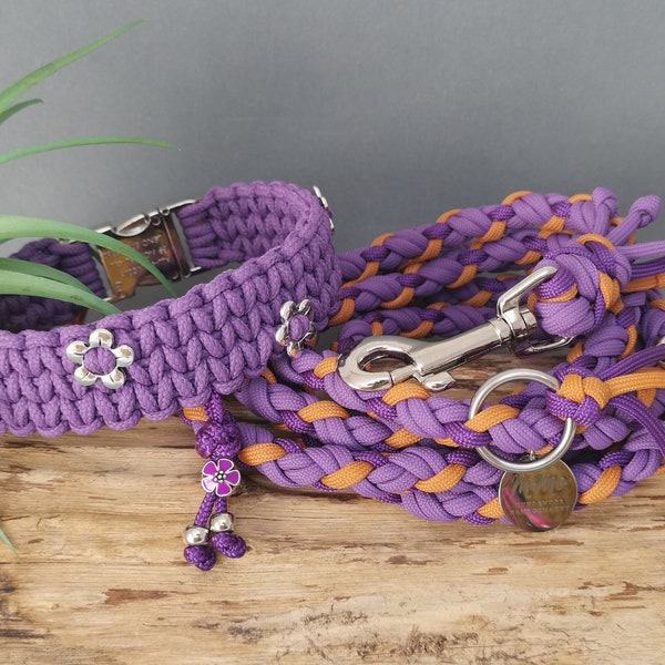 Set aus Hundehalsband  SVEA  und Leine MIDI in vielen Farben