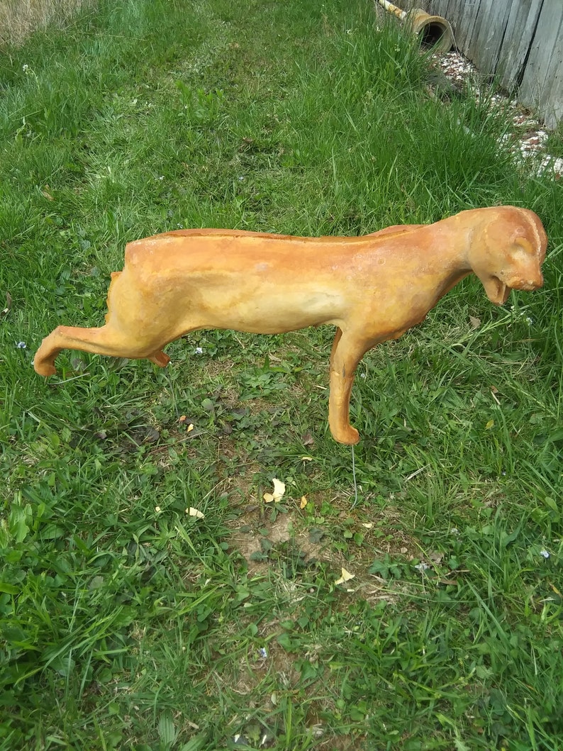 Bobcat Standing Taxidermy Foam Mount Etsy