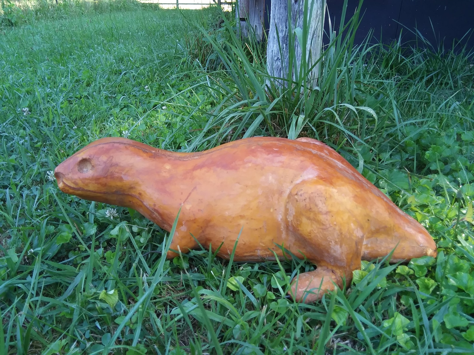 Beaver Foam Taxidermy Mount Martin Etsy