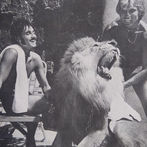 Foto de Siegfried y Roy Tigers Lion