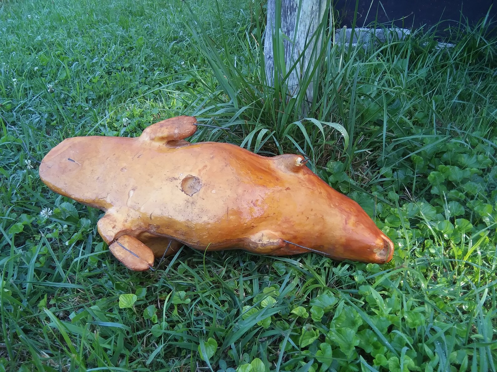 Beaver Foam Taxidermy Mount Martin Etsy