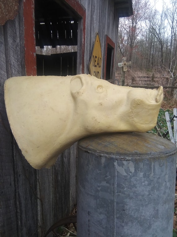 Wild Boar Pig Off Shoulder Taxidermy Foam Art Mount