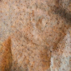 Ostrich Leather Hide Boot Making