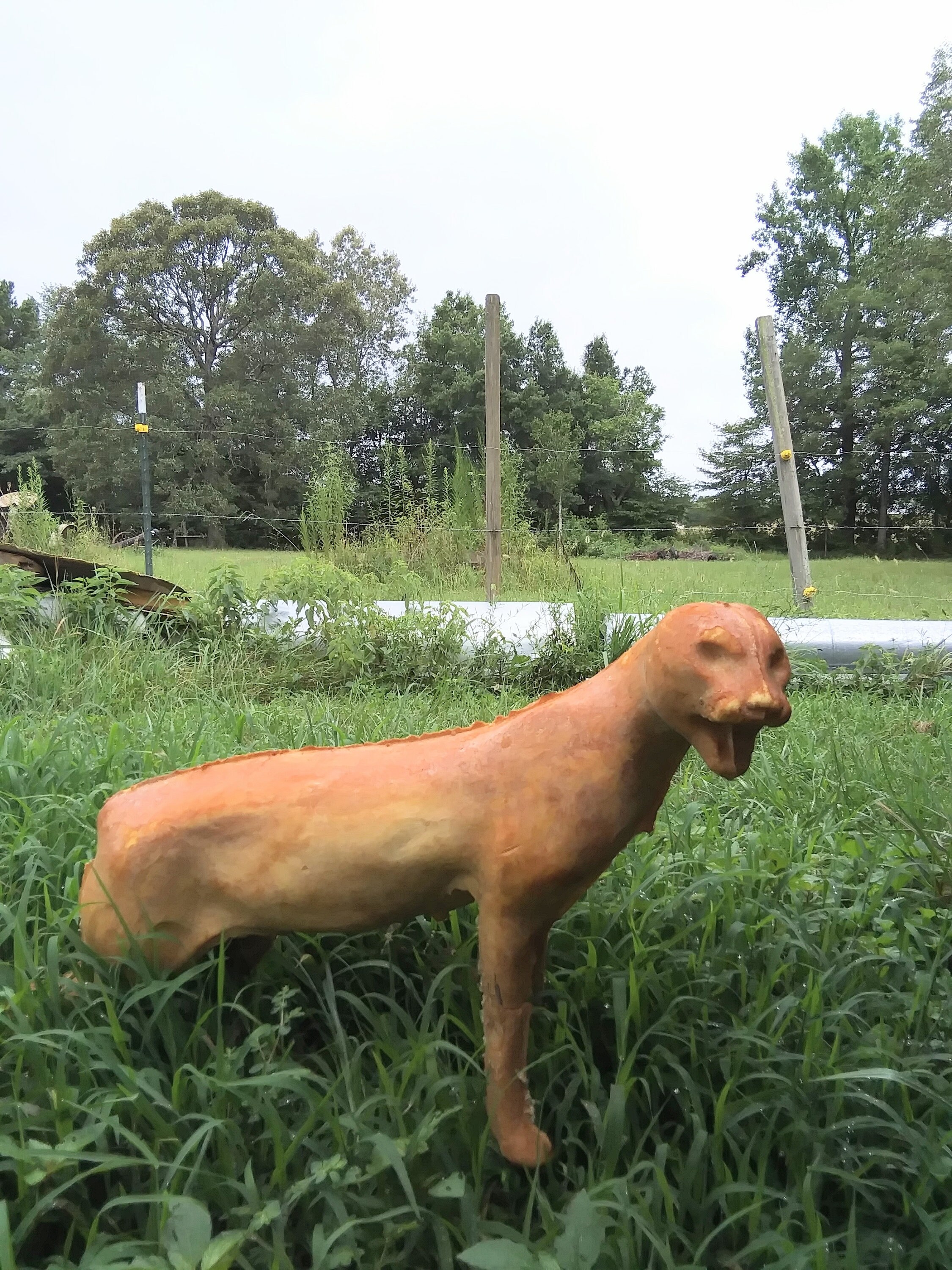 Bobcat Standing Taxidermy Foam Mount Etsy