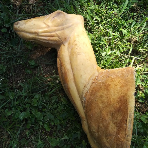 Foam Mount Taxidermy Etsy