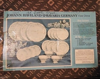 Haviland Bavaria Germany Porcelain China Set Dishes