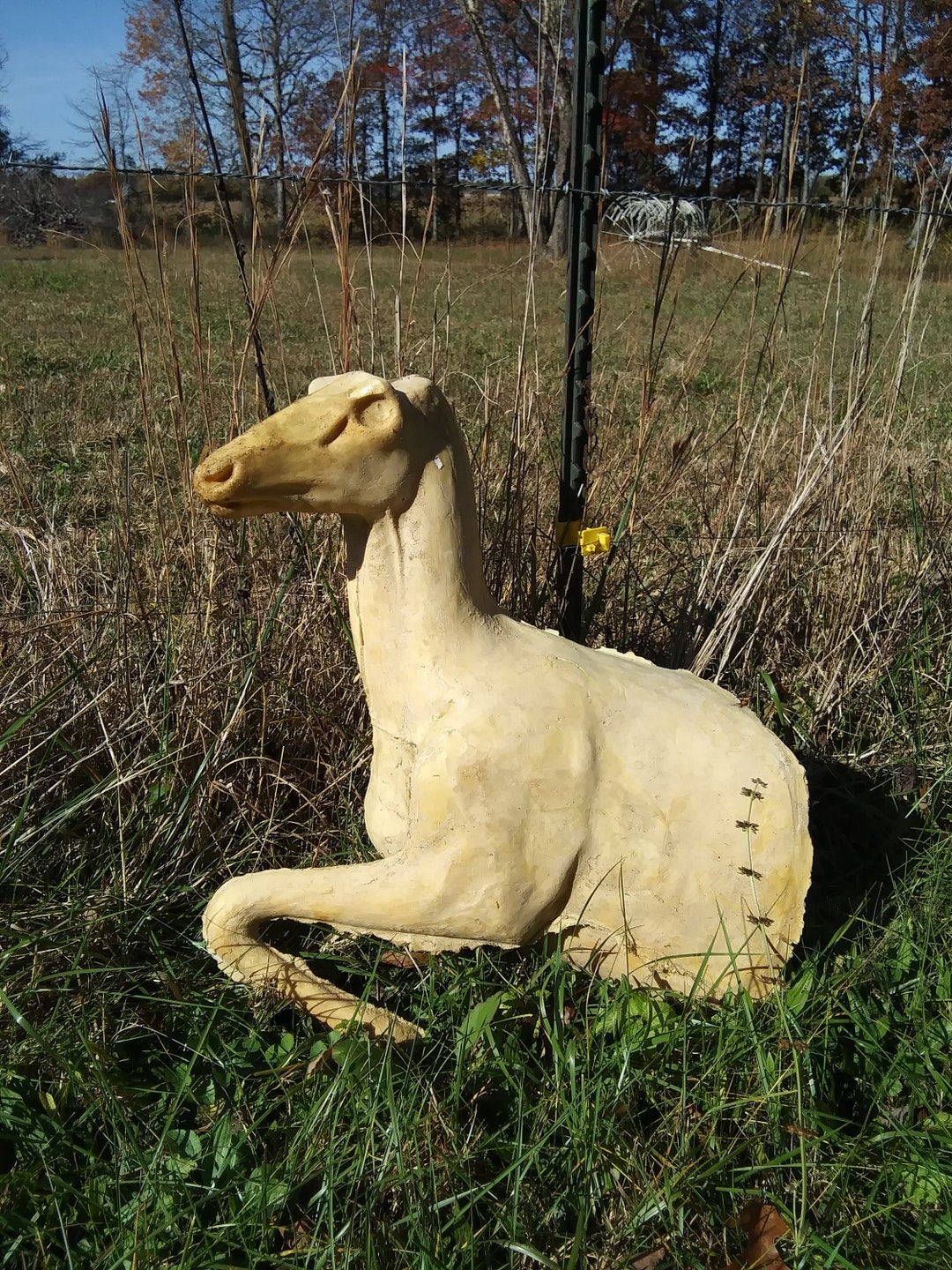 Deer Foam Sitting Pose Taxidermy Mount Etsy