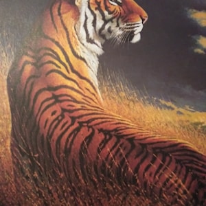 Tiger Lithograph Signed Edward J Bierly Africa
