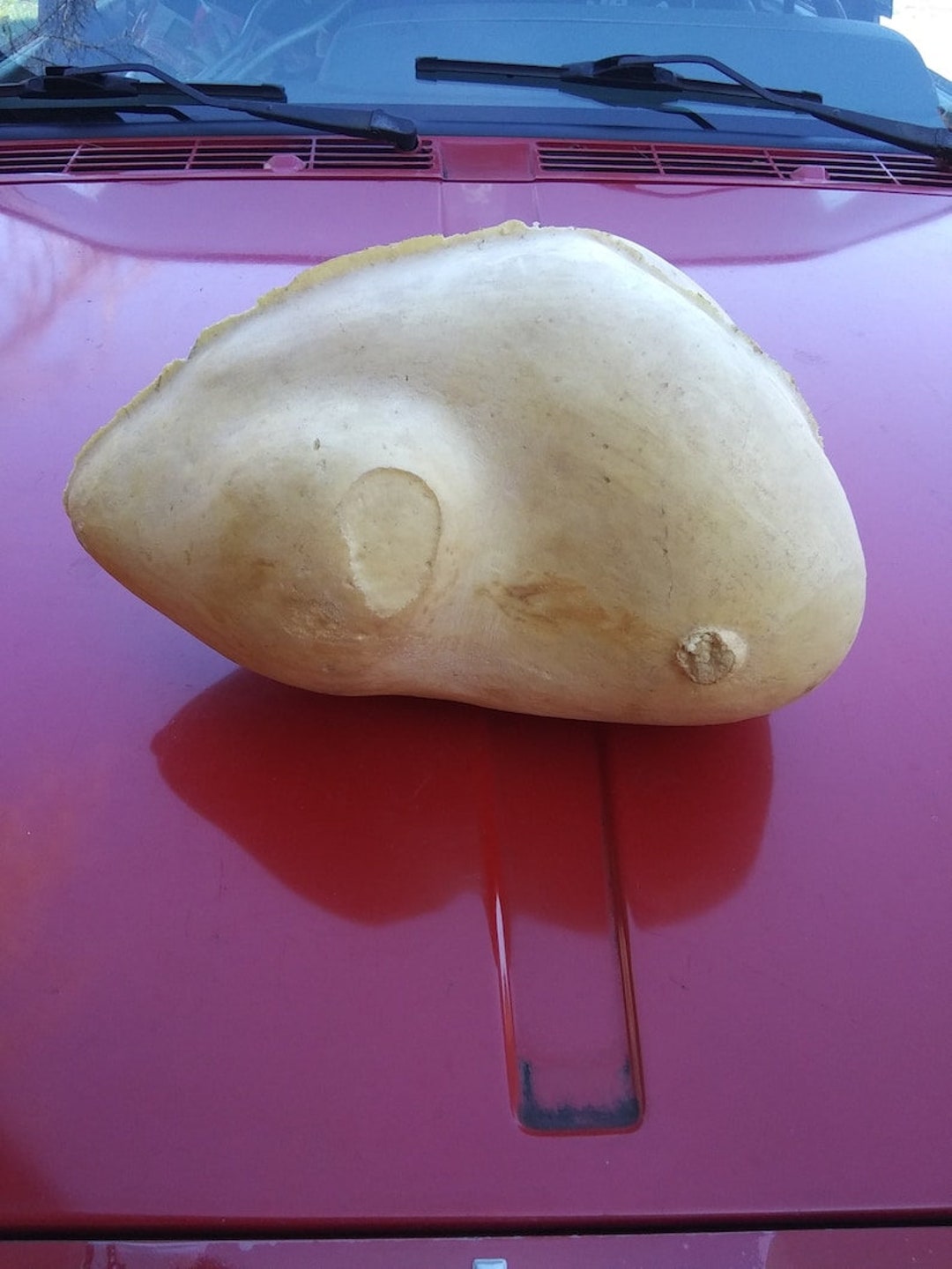 Turkey Taxidermy Foam Form Etsy