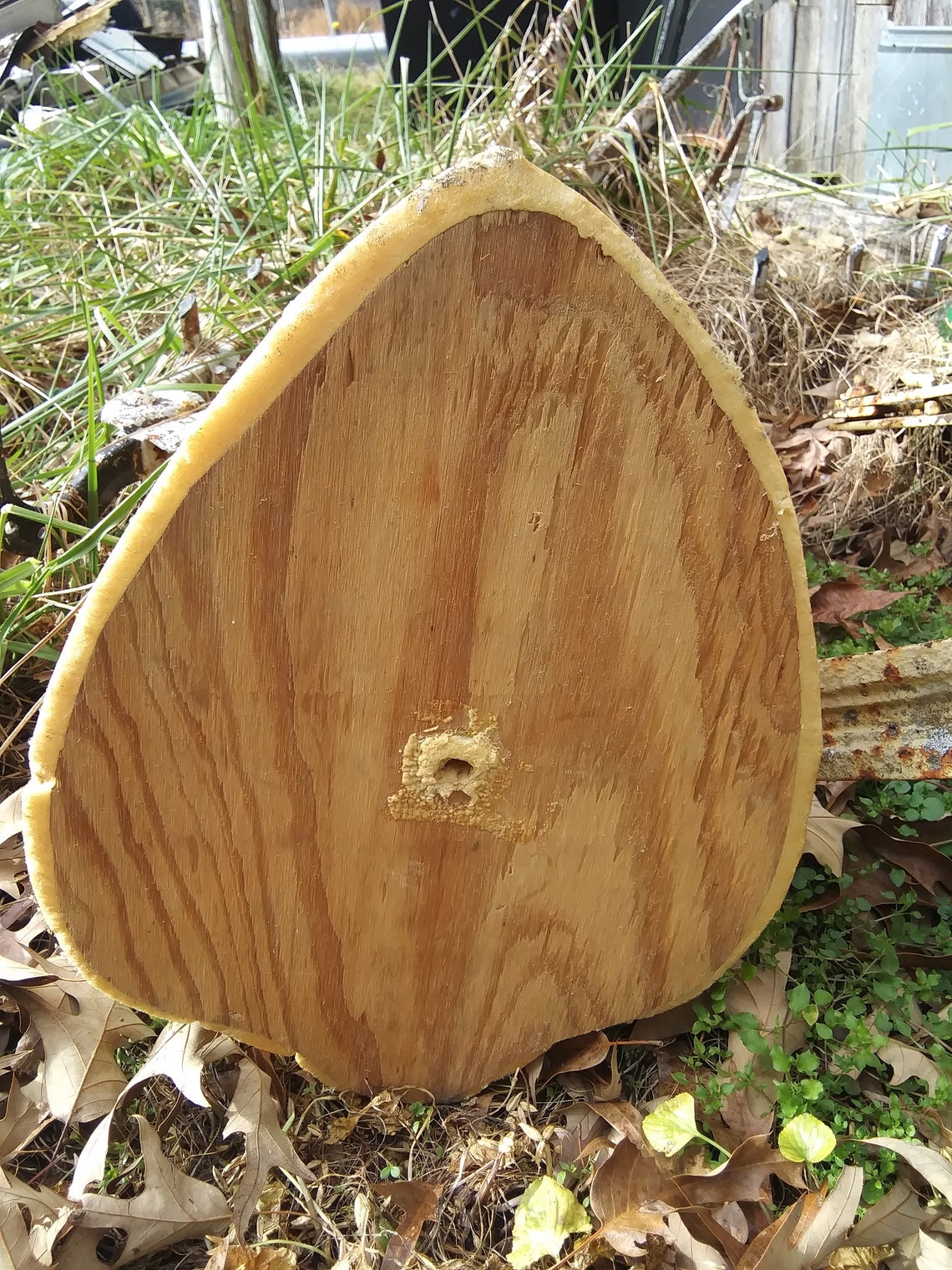 deer stags memory foam