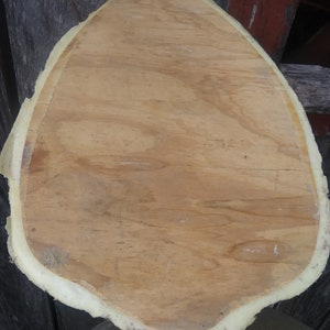 Puede incluir: Una gran rebanada de madera redonda de color marr&oacute;n claro con un borde blanco irregular. La madera tiene una veta natural.