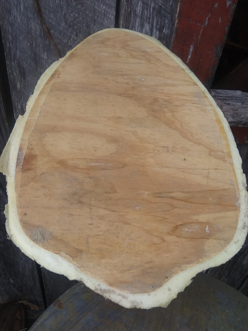 Puede incluir: Una gran rebanada de madera redonda de color marr&oacute;n claro con un borde blanco irregular. La madera tiene una veta natural.