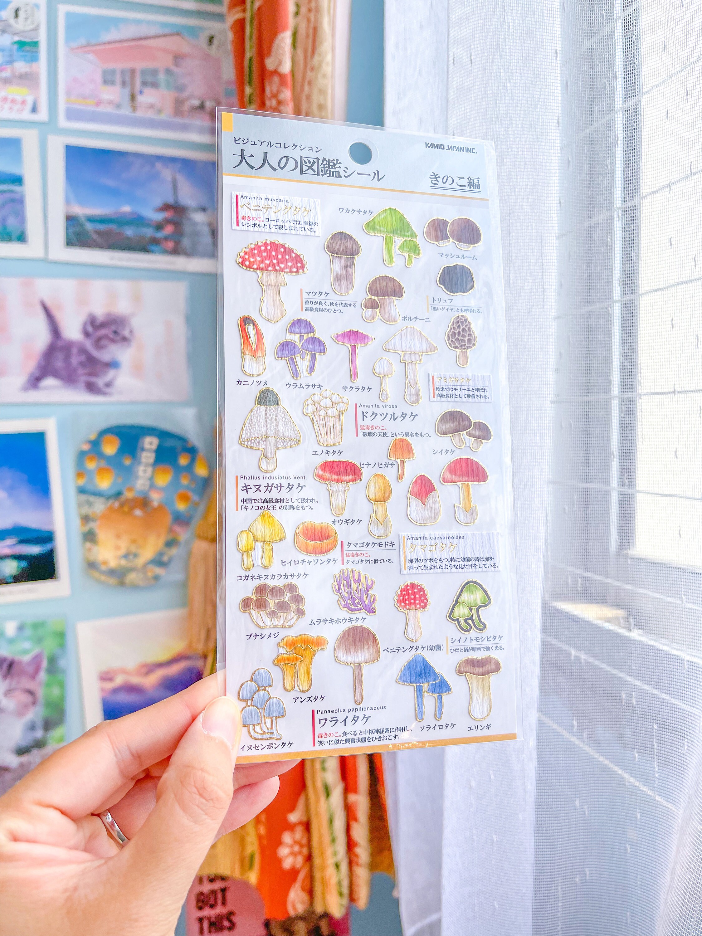 Mushrooms Marine Animals Science Sticker Sheet Kamio For Etsy