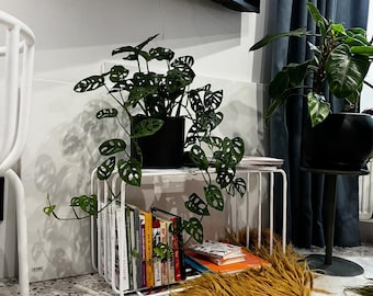 Low shelving unit, Modern storage bench, Vinyl record storage, Plant stand, Bench with shoe storage, End table, Low bookshelf