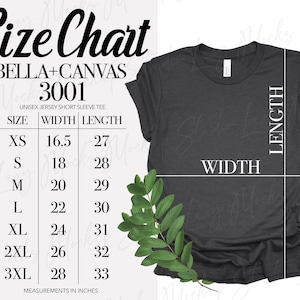 Tabela de tamanhos Bella Canvas 3001 | Tabela de tamanhos de camisetas unissex | Tabela de tamanhos BC 3001 | 1 arquivo JPEG | Download instantâneo | Homens Mulheres