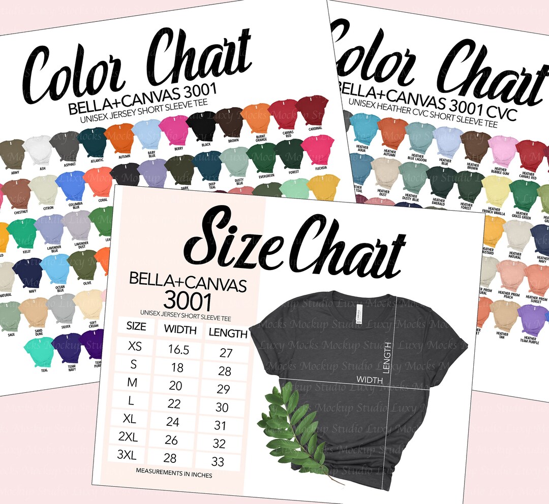 Bella Canvas 3001 Color Chart & Size Chart (JPEG Files) - Etsy