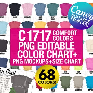 C1717 Komfortfarben bearbeitbare Farbkarte Canva Vorlage + PNG Mockup Bundle | Ziehen Sie die Farbtabelle + Größentabelle | 2024 Bündel