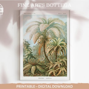 PRINTABLE Ferns by Ernst Haeckel | Vintage Botanical Poster | Wall Art | Cottagecore Poster | Scientific Illustration | Plant mom gift