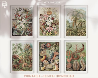 PRINTABLE 6 Vintage Botanical Illustrations by Ernst Haeckel Set of 6 | Cottagecore | Scientific Illustration Poster | Digital download