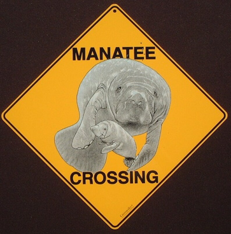 MANATEE CROSSING SIGN 16 1/2 by 16 1/2 New Picture Decor - Etsy