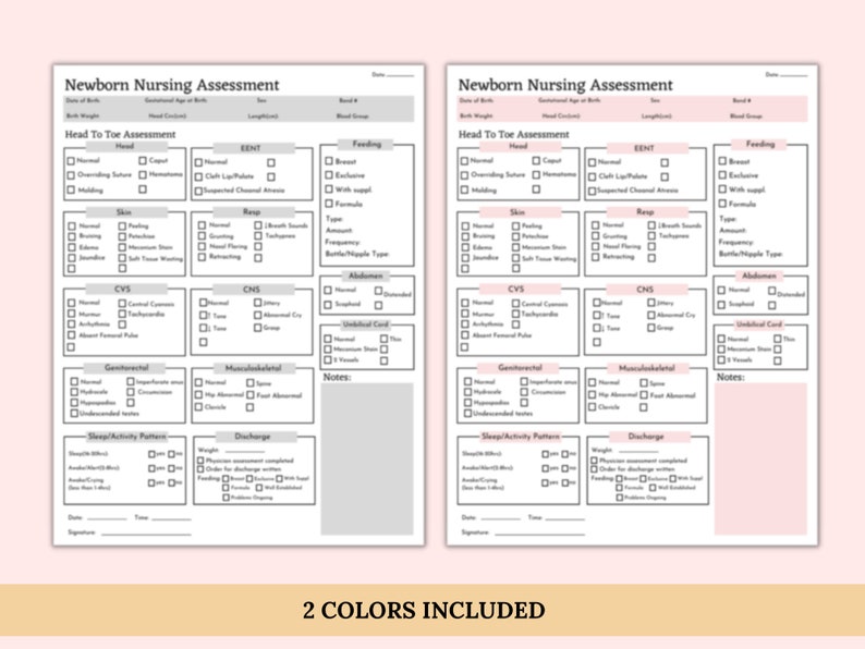 Newborn Head to Toe Assessment Nursing Template, Head to Toe Assessment ...