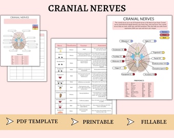 Cranial Nerves Nursing Cheat Sheet - Etsy