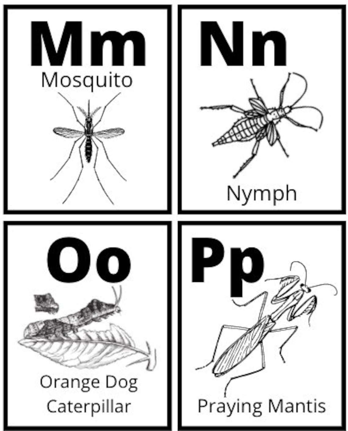 Insect Alphabet Flashcards Bug ABC Practice Letter - Etsy