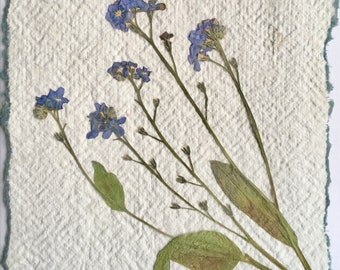 Carte de vœux myosotis - fleurs artificielles fabriquées à la main, papier recyclé, carte de sympathie fleurs myosotis pas pressées