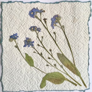 Cartão de condolências com flores prensadas de verdade, feito à mão, em papel reciclado, cartão de condolências com flores prensadas de verdade