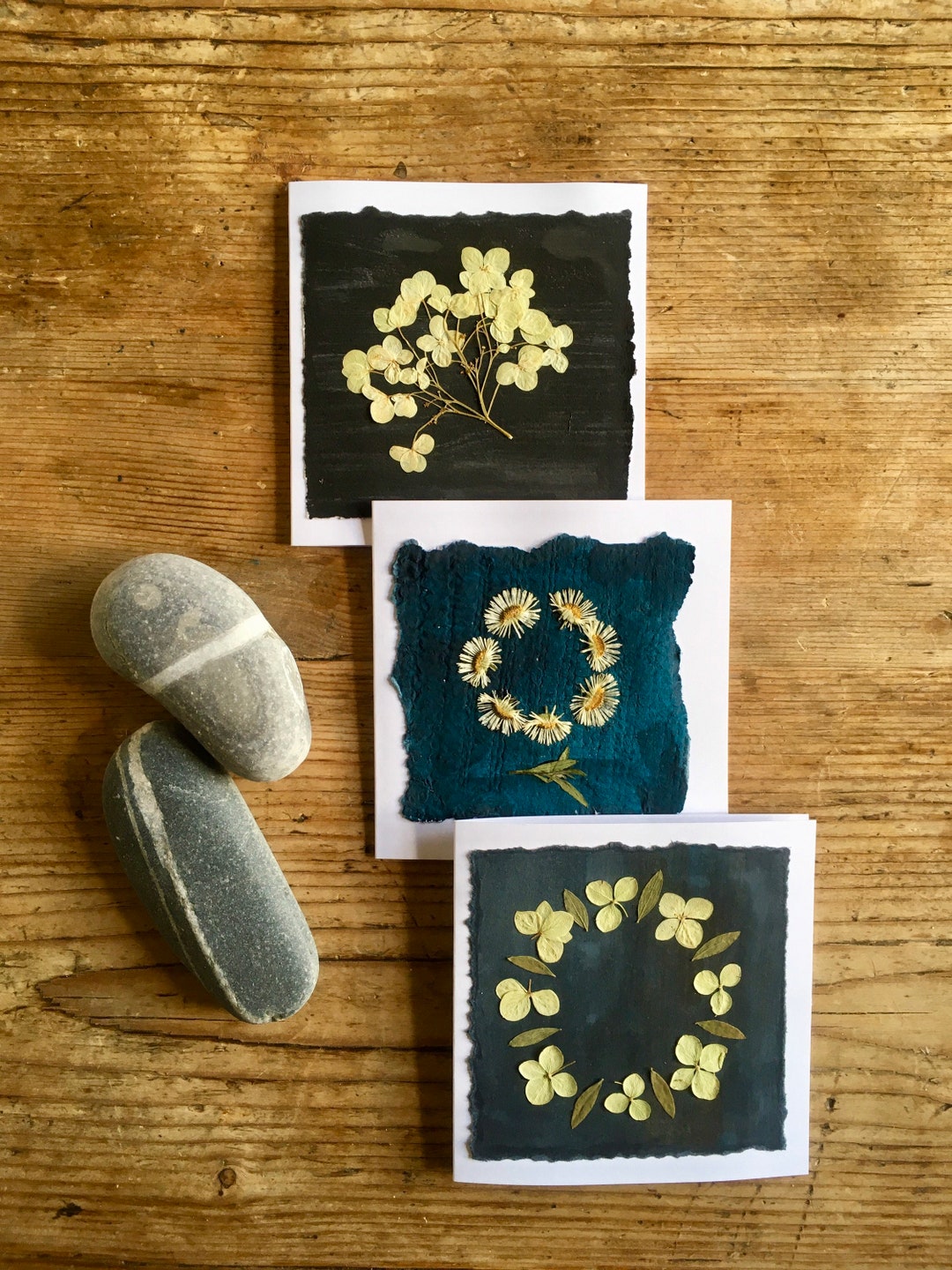 Daisy and Hydrangea Pressed Flowers Set of Blank Cards, Pressed Flower ...