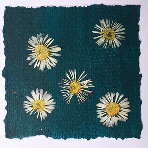 Carte de voeux de marguerites de fleurs pressées, carte faite main de fleur de naissance d'avril, carte d'anniversaire d'avril, carte faite main vierge de marguerite