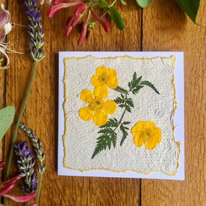 Grußkarte Echte gelbe Butterblumen auf handgeschöpftem Papier gepresste Grußkarte, Osterkarte, Echte gepresste Wiesenblumen Grußkarte