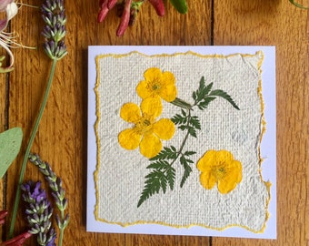 Pressed real yellow buttercups on hand made paper greetings card, real pressed meadow flowers greetings card, Easter card