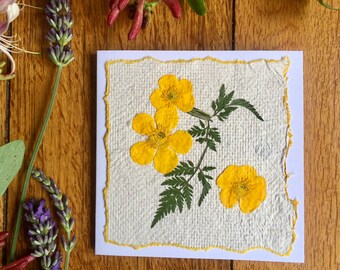 Véritables boutons d'or jaunes pressés sur une carte de voeux en papier faite main, vraie carte de voeux pressée de fleurs de prairie, carte de Pâques