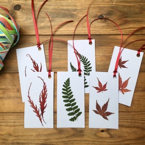 Pressed leaves gift tags, real pressed autumn leaves gift cards
