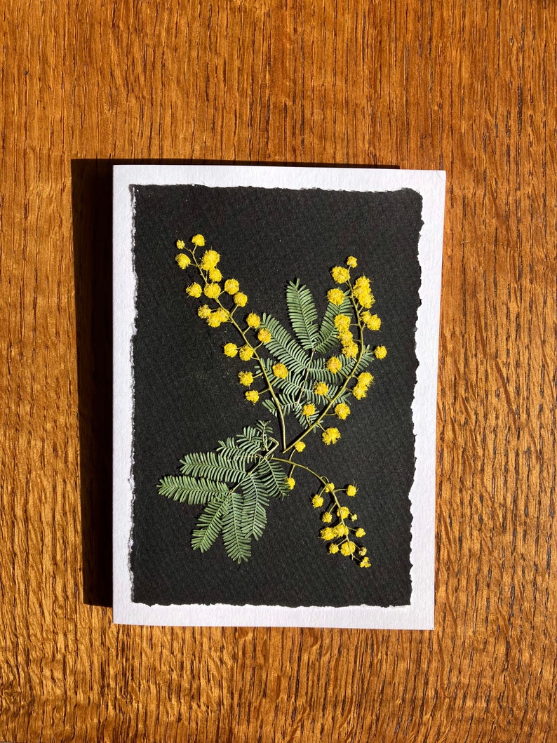 Carte de voeux fleurs de mimosa pressées, vrais mimosas pressés jaunes image 5