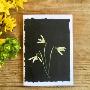 Biglietto di auguri con fiori pressati di bucaneve, biglietto fatto a mano con veri bucaneve pressati, biglietto fatto a mano con fiori di nascita di gennaio