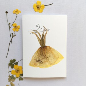 Evening Primrose pressed flower greetings card, yellow evening primrose card