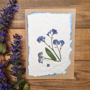 Carte myosotis pressée, carte myosotis pressée, carte myosotis pressée, myosotis pressée sur carte en papier fait main
