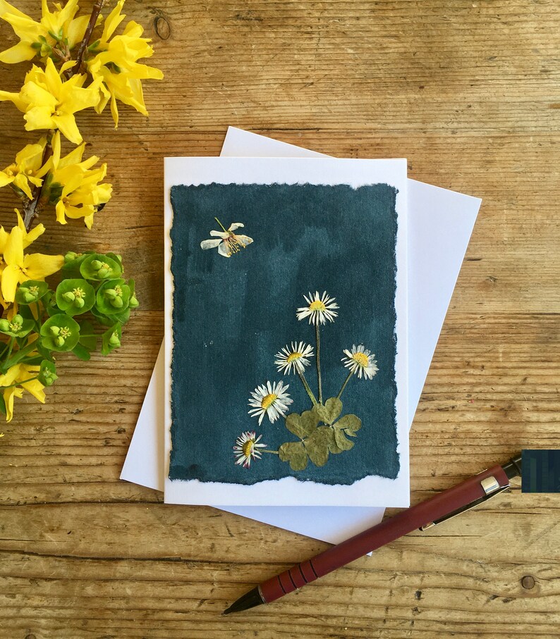 Pressed Flowers Daisies Greetings Card, Pressed Flowers Birthday Card ...