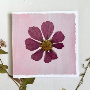 Marguerite cosmos rose sur carte de voeux en papier peinte à la main, vraie carte pressée de marguerite cosmos, carte faite main de fleur de naissance d'octobre