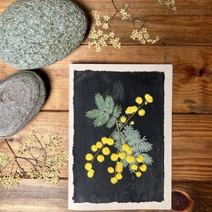 Carte de voeux fleurs de mimosa pressées, vrais mimosas pressés jaunes image 2