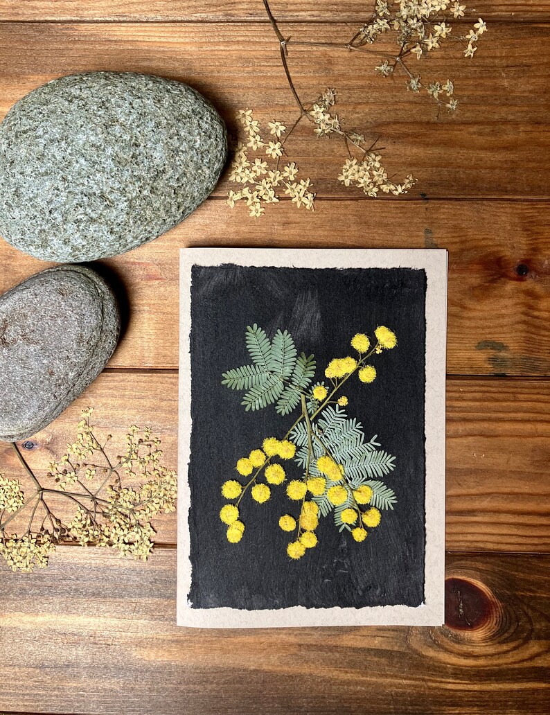 Carte de voeux fleurs de mimosa pressées, vrais mimosas pressés jaunes image 2