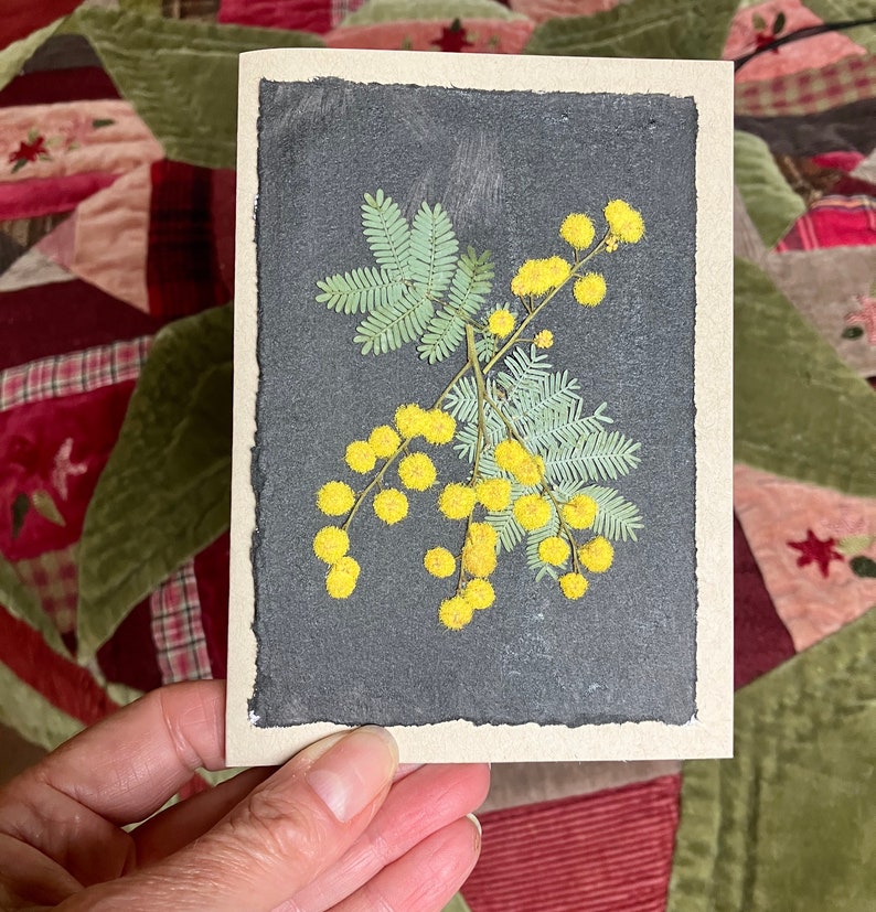 Carte de voeux fleurs de mimosa pressées, vrais mimosas pressés jaunes image 6