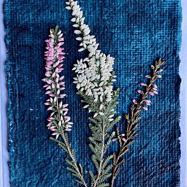 Hand made Scottish heather Pressed flower card on hand made, hand painted paper, lucky heather good luck greetings card