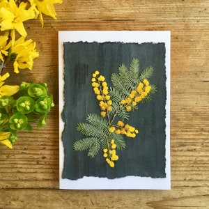 Carte de voeux fleurs de mimosa pressées, vrais mimosas pressés jaunes image 3